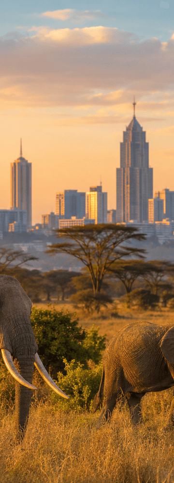 Business Class Flights To Kenya