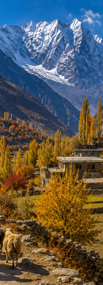 Business Class Flights To Pakistan