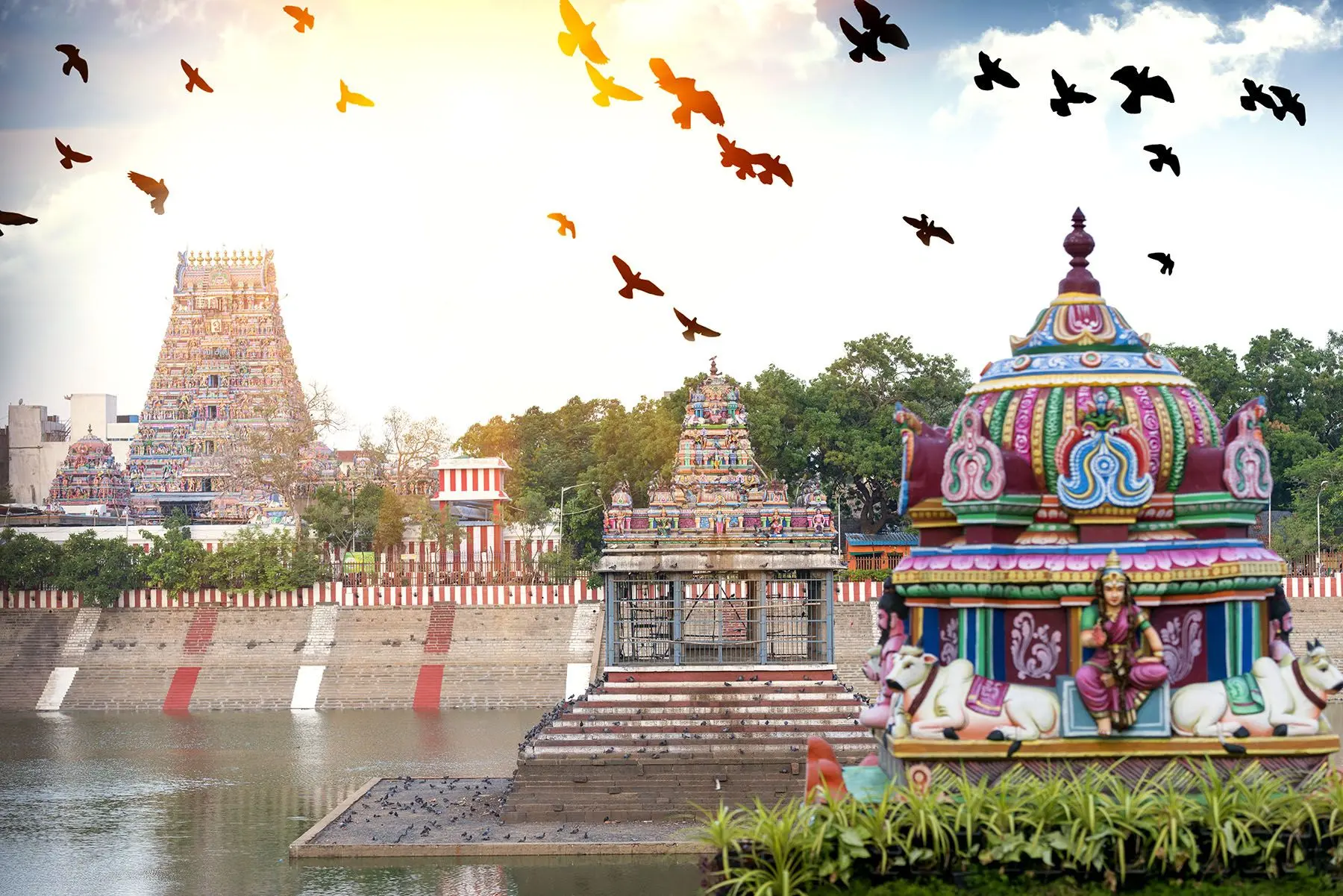 Business Class to Chennai: Arrive Refreshed to the Rhythm of the South