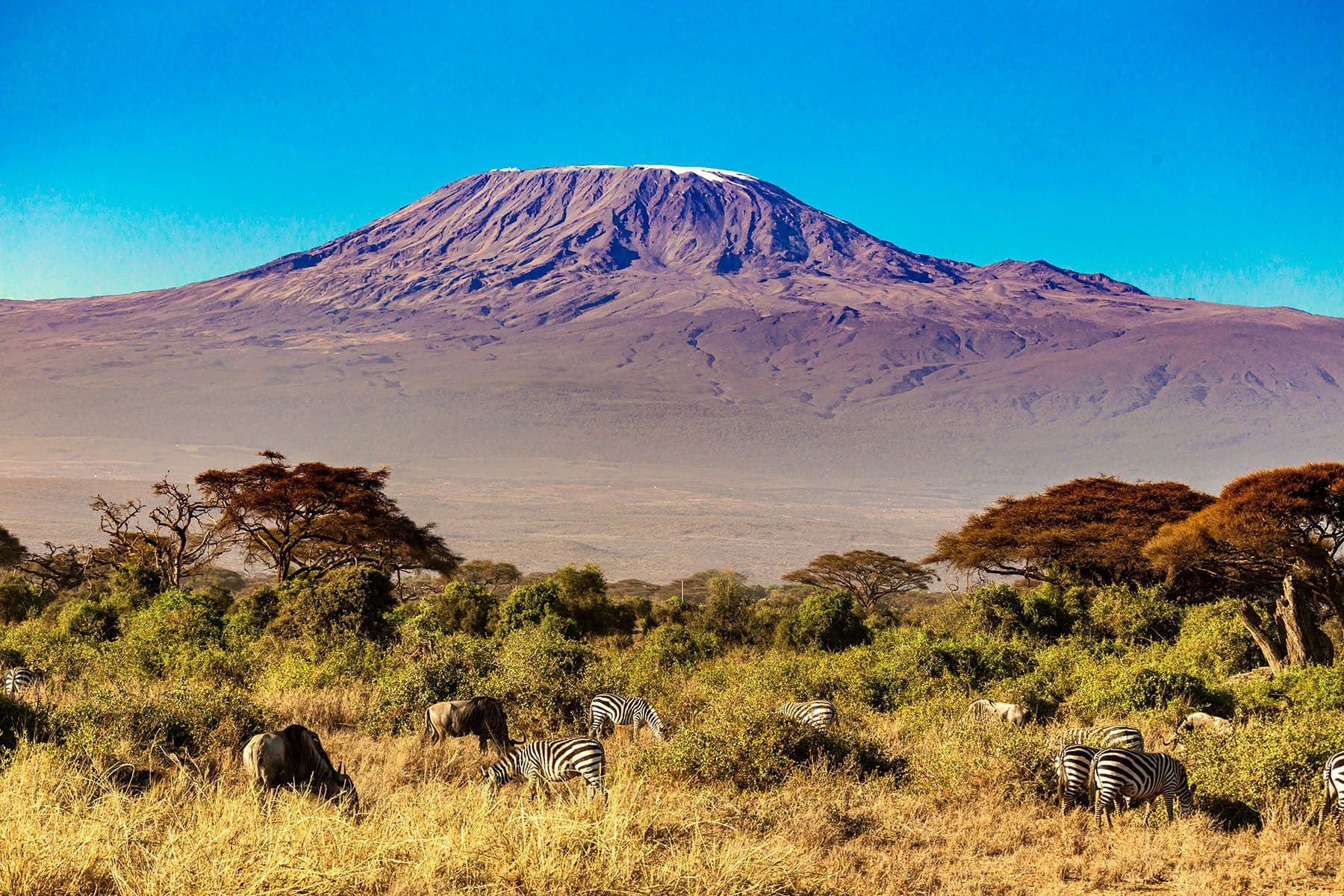 Business Class to Kilimanjaro: Rest Well, Rise Higher