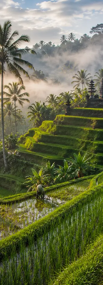 Business Class Flights To Indonesia