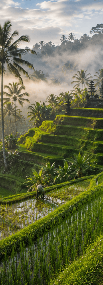 Business Class Flights To Indonesia