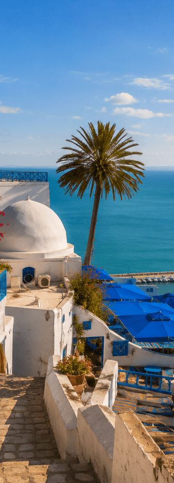 Business Class Flights to Tunisia, Africa